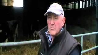 Gain Feeds Customer Interview - Tom Walsh Kilkenny