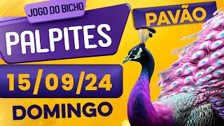 PALPITE DO DIA 15/09/2024 - JOGO DO BICHO 🍀 TODAS AS LOTERIAS 🍀