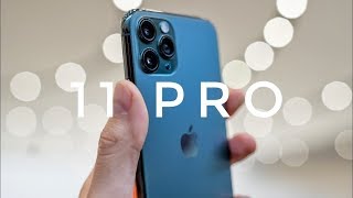 APPLE IPHONE 11 Camera Video Quality   Apple Iphone 11 Slofies Iphone 11 Slowmotion Selfies