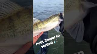 Peche en float-tube #sandre #pêche