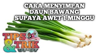 Cara Menyimpan Daun Bawang Supaya Awet Sampai 1 Minggu || Tips & Trik menyimpan Bawang Daun