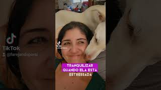 Cuido da minha humana sim #cachorros #cachorrofeliz #filhotesdecachorro #filhotes