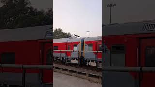 Train Ke Upper Peacock #indianrailways #shorts