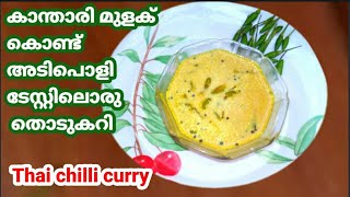 Thai chili curry/അടിപൊളി ടേസ്റ്റിലൊരു കറി /chilli curry/vegetable curry(Remi's signature dishes)