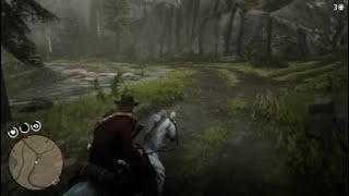 My Cougar Encounter In RDR2