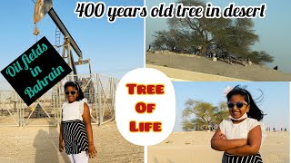 Places to visit in Bahrain|| Bahrain picnic spots|| Tree of life Bahrain //oil fields in Bahrain