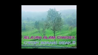 Ciwidey on the way