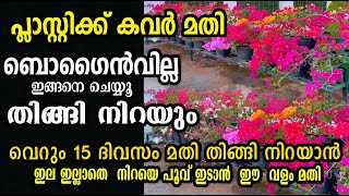 ചട്ടിയിൽ തിങ്ങി നിറയാൻ ഇങ്ങനെ ചെയൂ.. bogainville pruning /poppy vlogs/malayalam