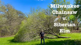 Milwaukee Chainsaw Versus | Siberian Elm