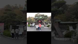 Throwback 2019: Big Buddha | Kamakura | Japan