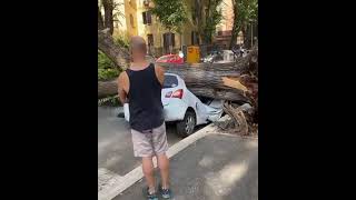 Roma: Alberi caduti schiacciano le macchine nei parcheggi