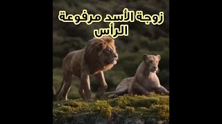 الحياة تجارب ومواقف