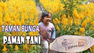 Taman Bunga Paman Tani Turi Yogyakarta