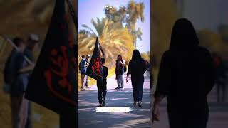 Karbala Chalo Noha Status Mir Hasan Mir Arbaeen Walk #mirhasanmir #mhm #reels #ytshorts #viralvideo