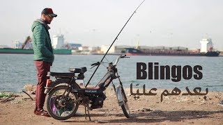 Blingos - Ba3Edhom 3Leya