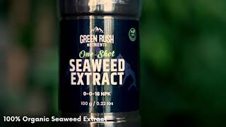 Green Rush Nutrients Seaweed Video - High Quality Nutrient Kelp For Plants