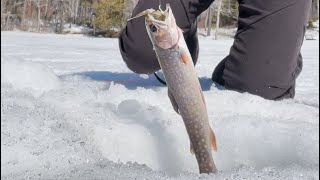 Last day on the ice #icefishing