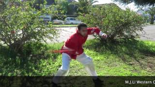 M J Li Schools Kungfu Tournament, August2017 Promo Video&TV AD