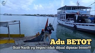 Pesta Strike, Mancing Baronang Tarikan SUPER Keras