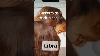 Cachorro de cada signo