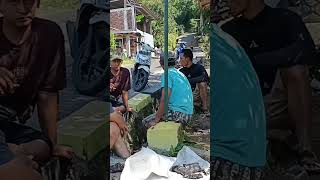 bersih bersih lingkungan #kampung #shorts #video #fyp #viralvideo