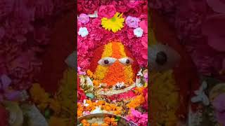 jai mata di #navratrispecial #song #matabhajan