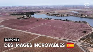 Des arbres en fleurs peignent la campagne catalane en rose