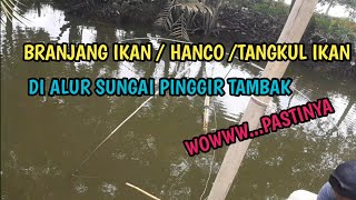 Tangkul : INDONESIAN TRADITIONAL FISH CATCHING || Branjang ikan || Tangkul Ikan || nets fishing