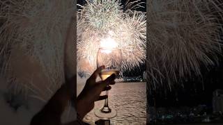 Festival Internacional de Fuegos Artificiales de Seúl en Crucero 2023 | 2023 서울세계불꽃축제 선상파티🎆 #shorts