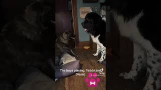 The boys playing