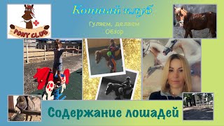 Содержание лошадей | Территория Конного клуба PonyClub Обзор