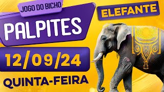 PALPITE DO DIA 12/09/2024 - JOGO DO BICHO 🍀 TODAS AS LOTERIAS 🍀