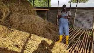 Keeping your hay in good shape