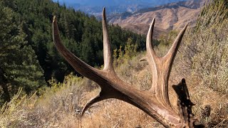 Archery Mule Deer 2020:  Hard Lessons Pt 3