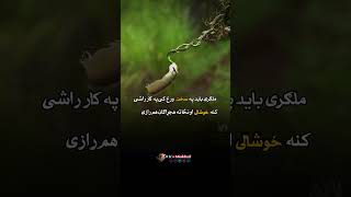 ملګری باید په سخت ورځ کی په کار راشی کنه خوشالی او نڅاته هجړاګان هم رازی 🥹#inshotedit #writing