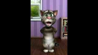 Talking Tom Andy Gray ya beauty