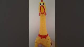 POLLO CHILLÓN #pollo #chicken #toys 🐤