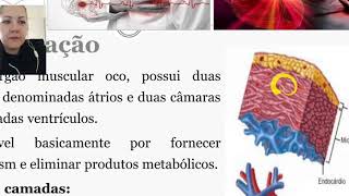 Clínica Médica I - Aula 01 - Distúrbios Cardíacos - Parte 01