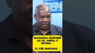 analise so muchanga perante argumentos do gil anib