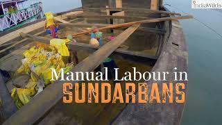 Hard Manual Labour in Sundarbans | #construction #explore #travel #india #sundarbans #documentary