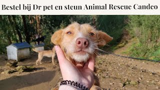 Nina goes to Animal rescue Canedo | Bestel bij Dr pet en steun het ARC