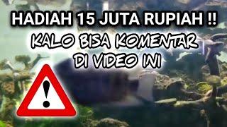 HADIAH 15 JUTA UNTUK KAMU !! KALO BISA KOMENTAR DI VIDEO INI