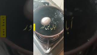 Best Home Made Food For Pet Birds || Black Gram, Boiled Egg & Its Shell || @FLAME-U melody ||