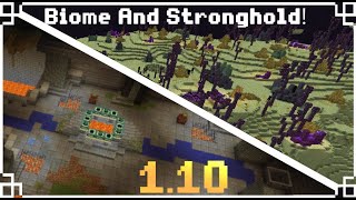 New End Biome And Stronghold Testing for Update Mod 1.10