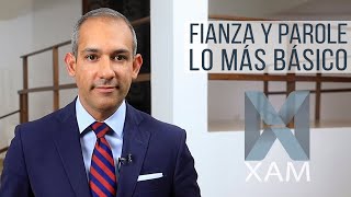 Fianza y Parole lo Más Básico