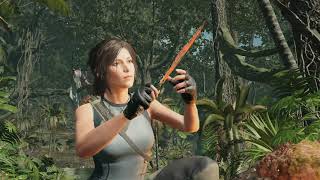 Shadow Of The Tomb Raider on a VisionTek Radeon 7750 SFF 1GB GDDR5