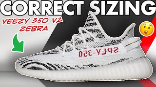 Sizing Guide for Yeezy 350 Zebra (2022) - Watch before ordering the Yeezy 350 v2 Zebra #shorts