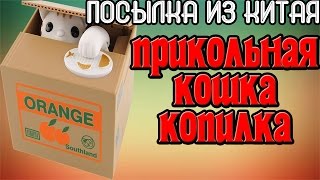 Посылка из Китая. Суперский подарок для любого человека.Говорящая копилка кот-воришка