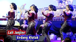 Lali Janjine - Efek Gedang Klutuk Sindene Pak Minto