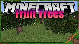 Fruit Trees Mod 1.16.5 - Minecraft Mods for PC